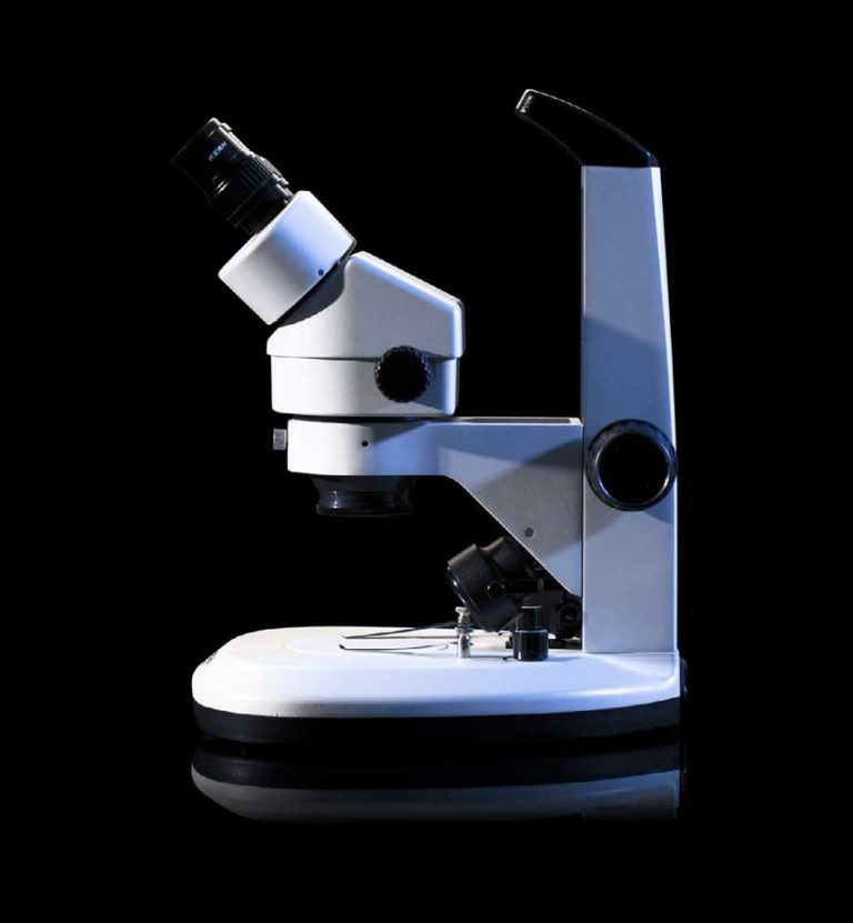 microscopio estereoscopio